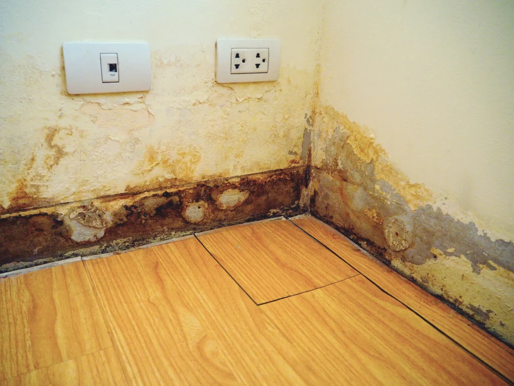 264ce177471a2949c383edf96db498f0c8b5afd2_What_Are_the_Signs_of_Water_Damage_In_Walls_628976582.jpg